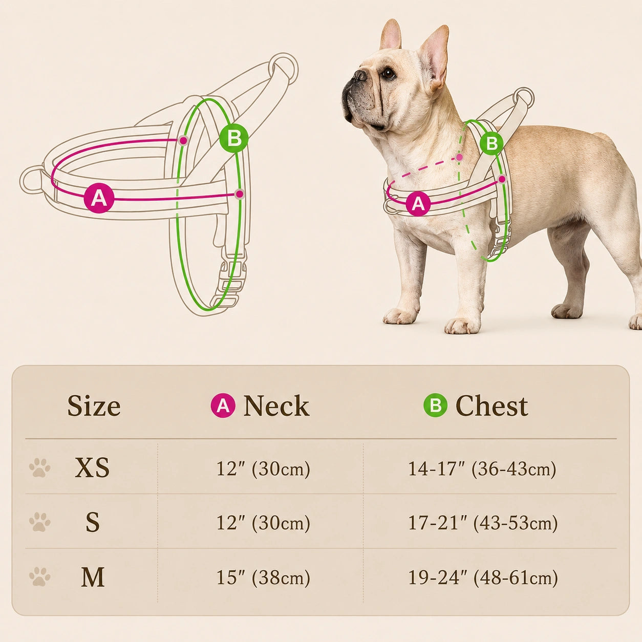 SilverHeritage™ GlowStride Comfort Harness