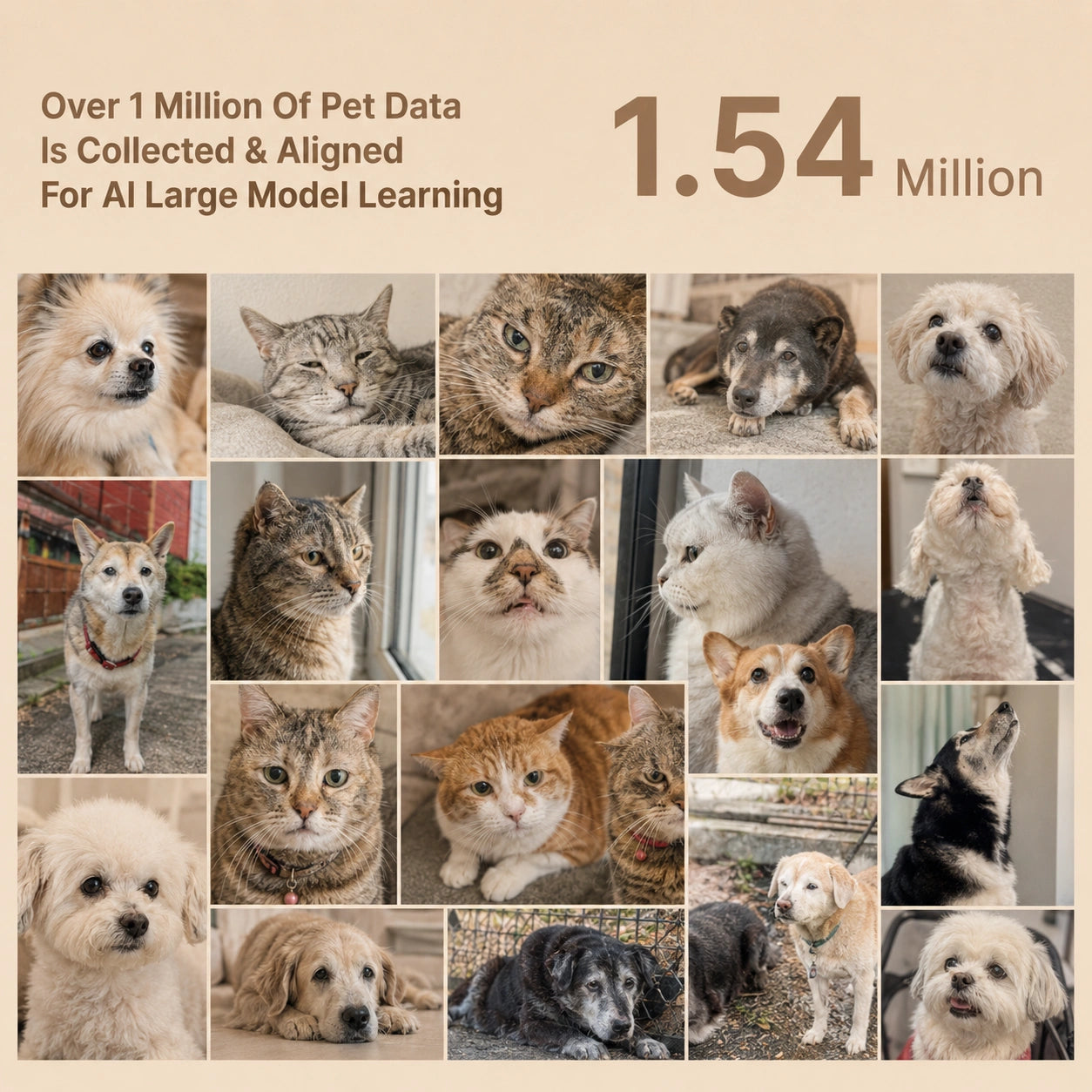 HeritageLab™ PettiChat AI Pet Translator