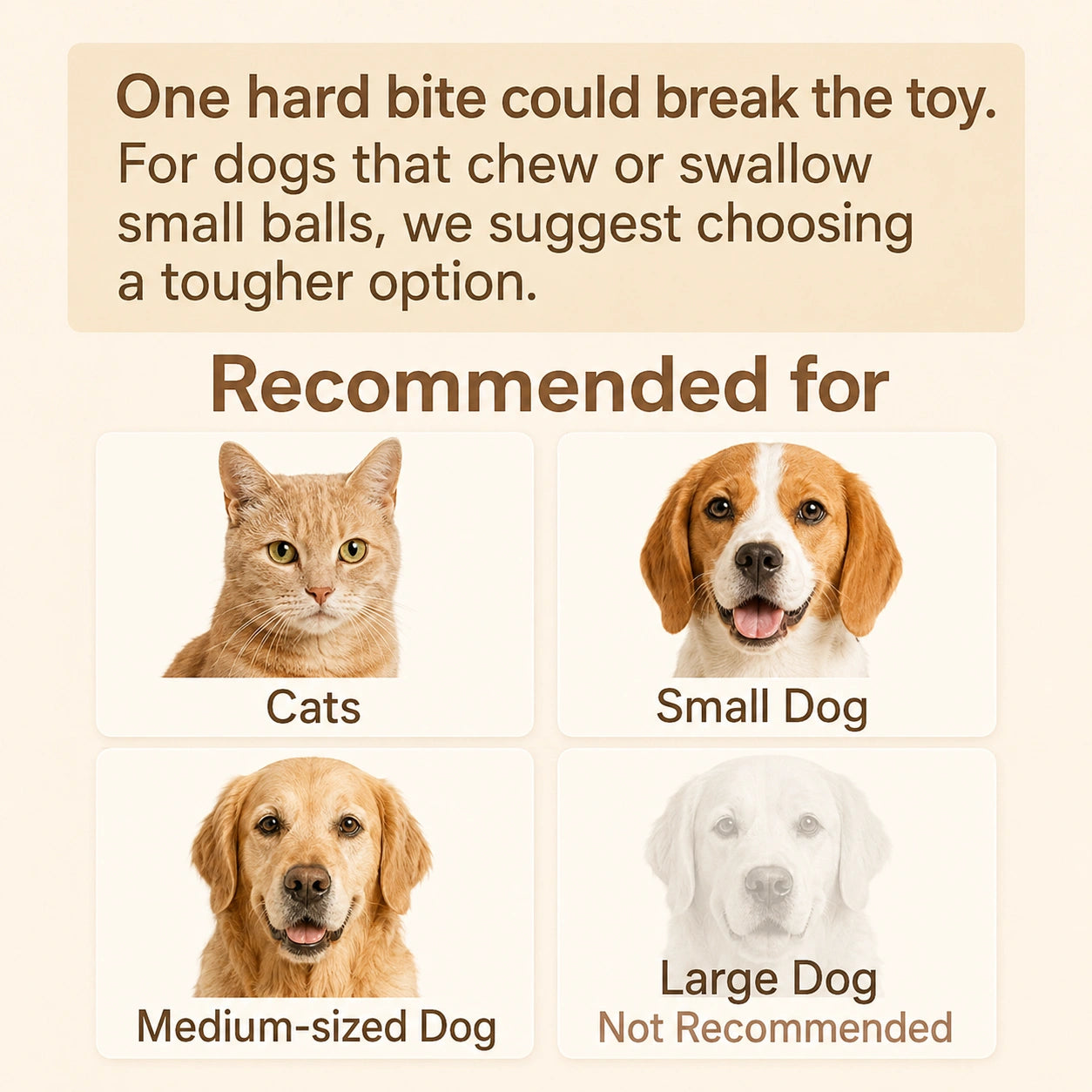 HeritageCloud™ ChaseTail Rolling Toy