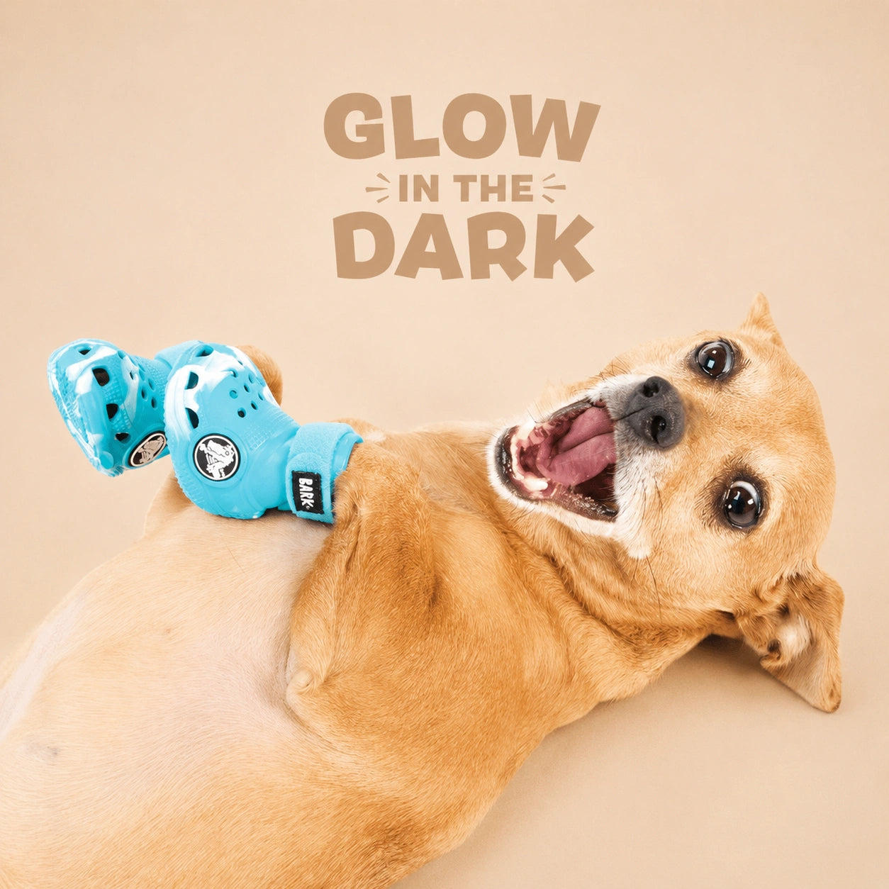 SilverHeritage™ PawGlow Dog Shoes
