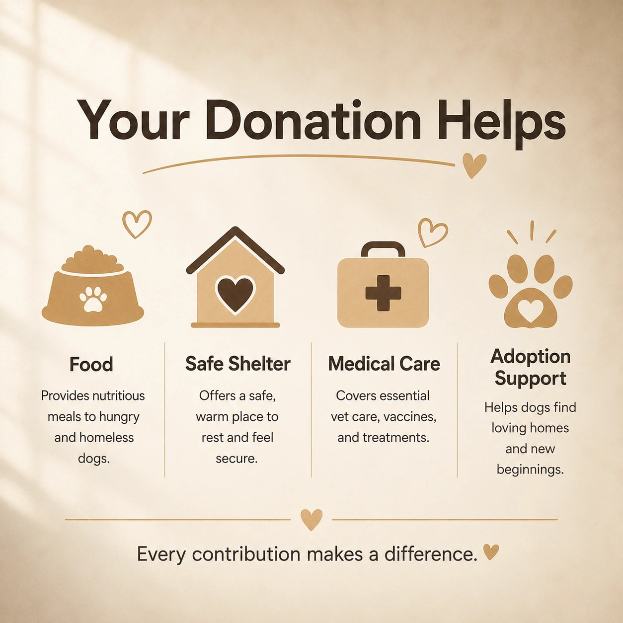 Donate to Help Stray Dogs in the U.S.
