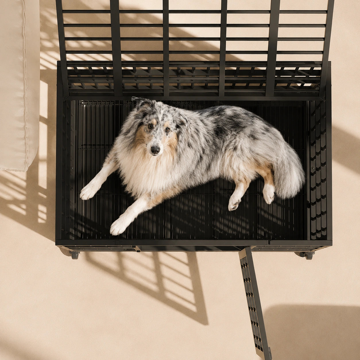 HeritageCloud™ IronGuard Steel Dog Crate