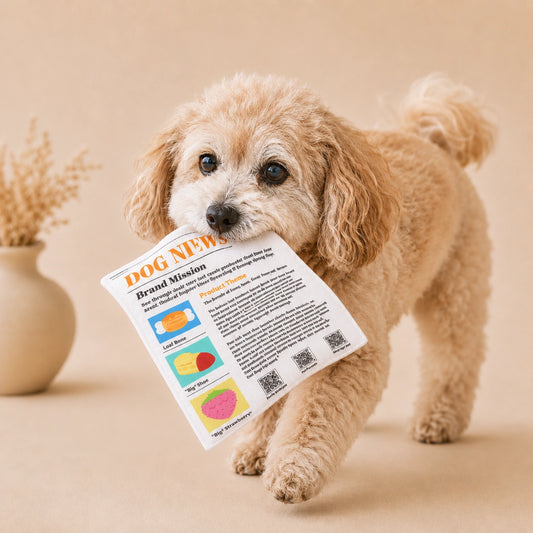 HeritageNurture™ NewsPup Crinkle Toy