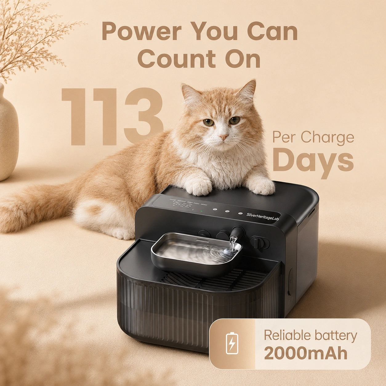 SilverHeritage™ PureFlow Filterless Cat Fountain