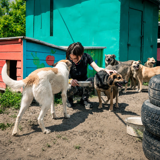 The Elderly Pet Organization
