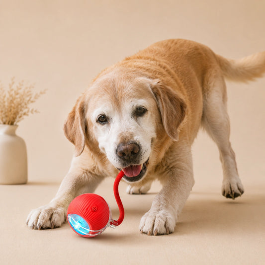 HeritageCloud™ ChaseTail Rolling Toy