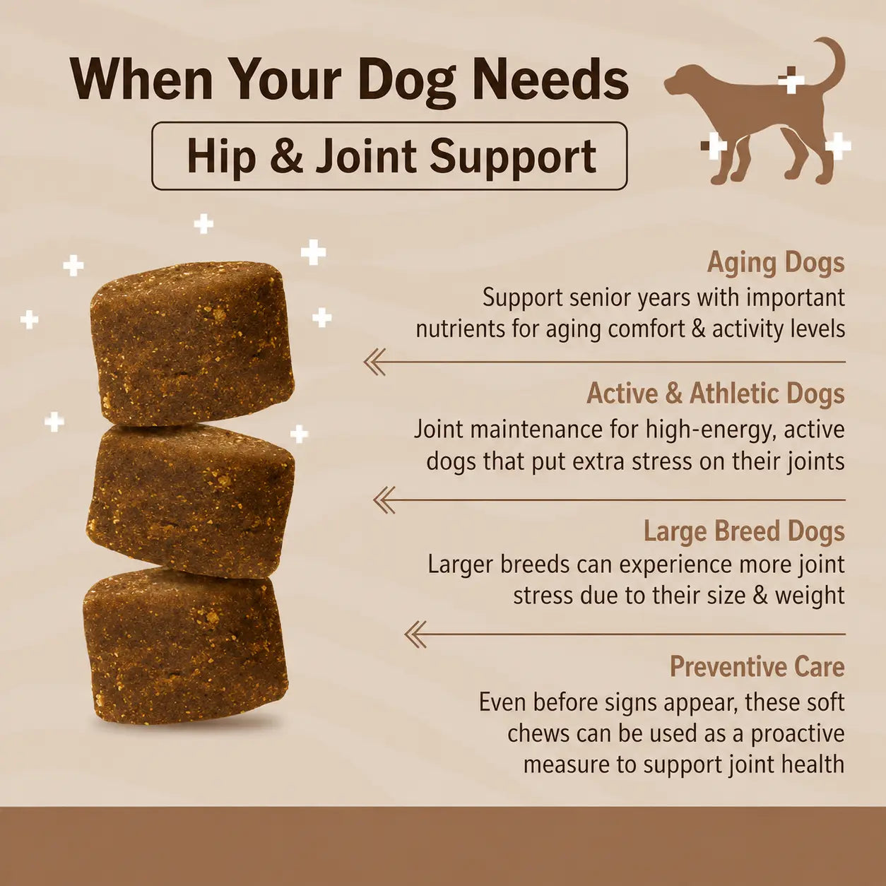 SilverHeritage™ GoldenStride Hip & Joint Soft Chews