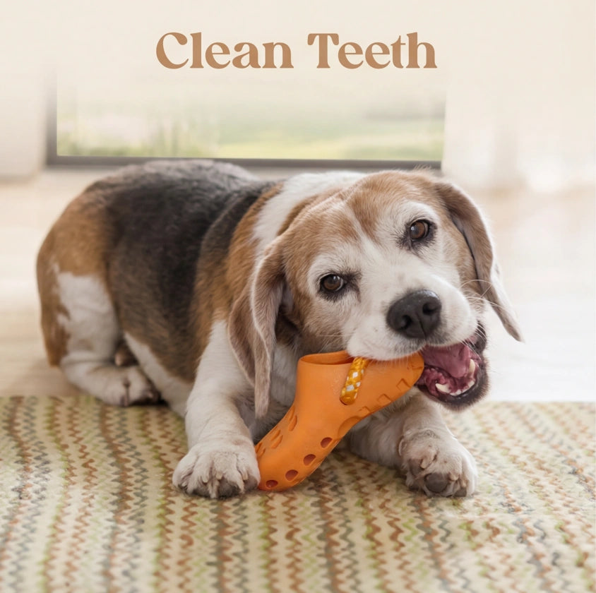 HeritageNurture™ TreatMaze Interactive Chew Toy