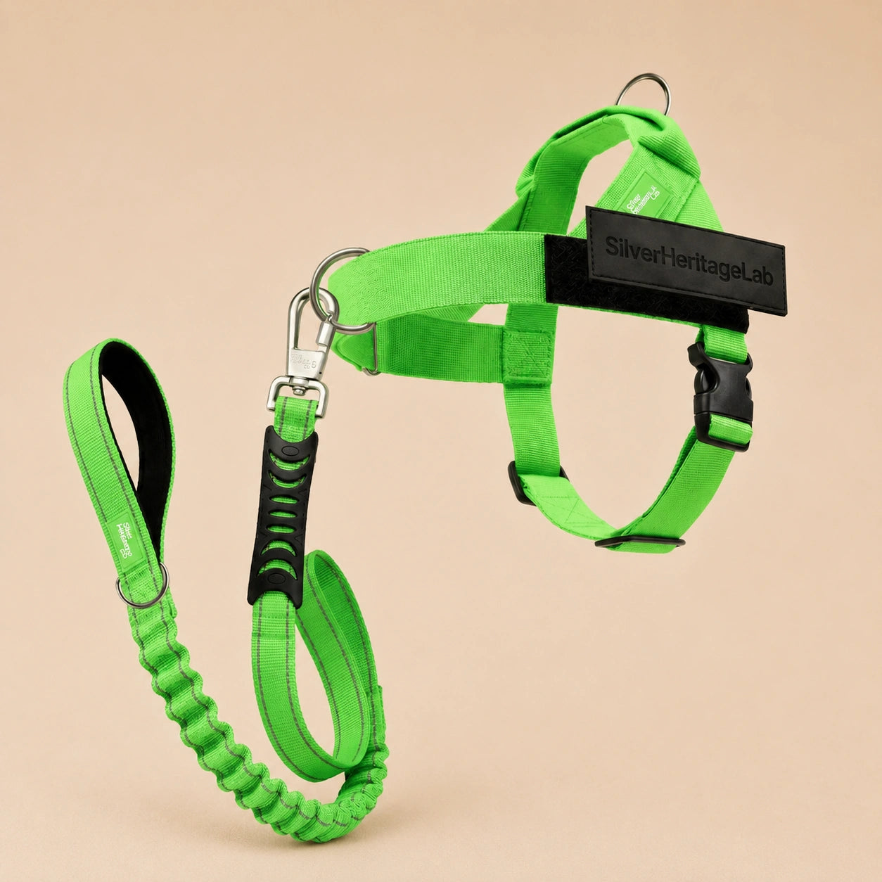 SilverHeritage™ GlowStride Harness & Leash Set